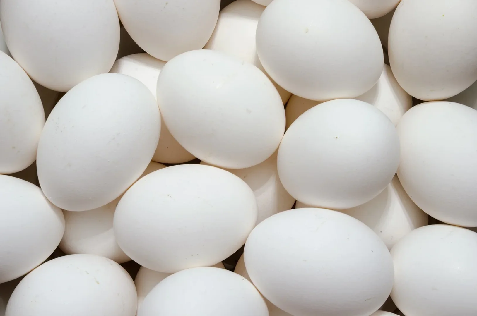 360 eggs